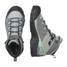 Salomon Women's Quest Rove GTX