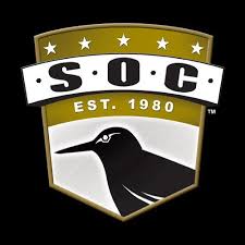 Sandpiper Of California