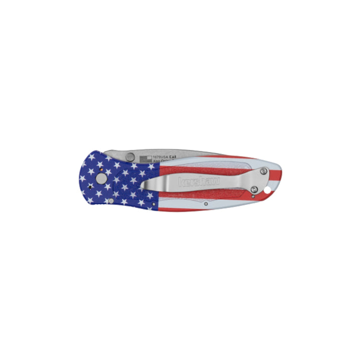 Kershaw Blur Folding Knife