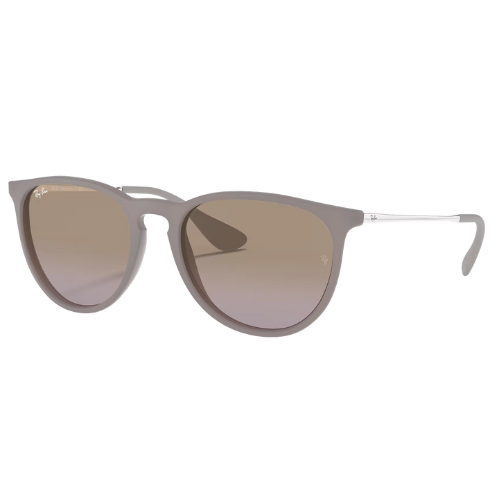 Ray-Ban RB4171 Erika Sunglasses