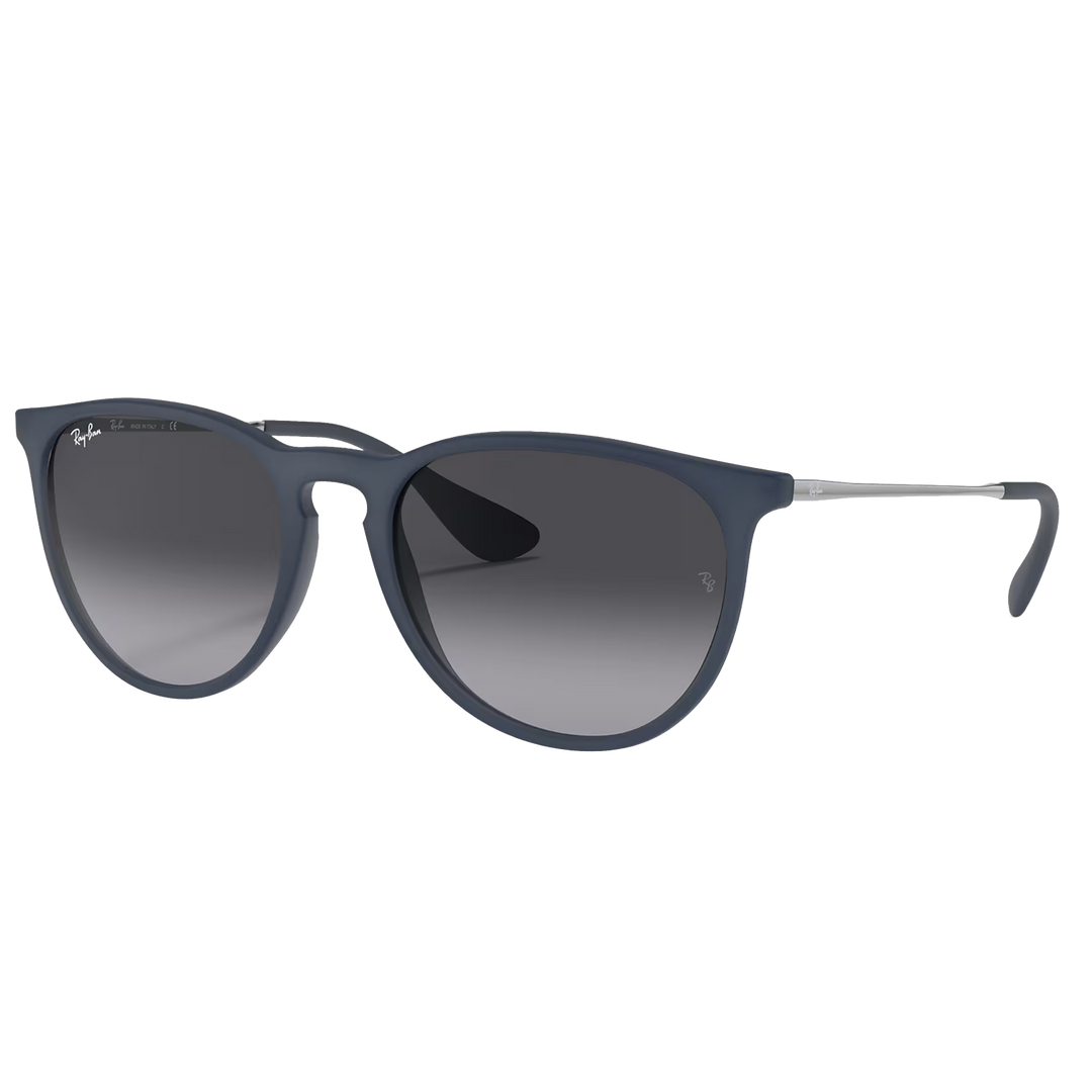 Ray-Ban RB4171 Erika Sunglasses
