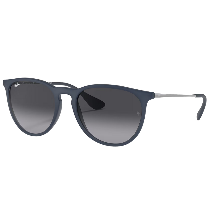 Ray-Ban RB4171 Erika Sunglasses