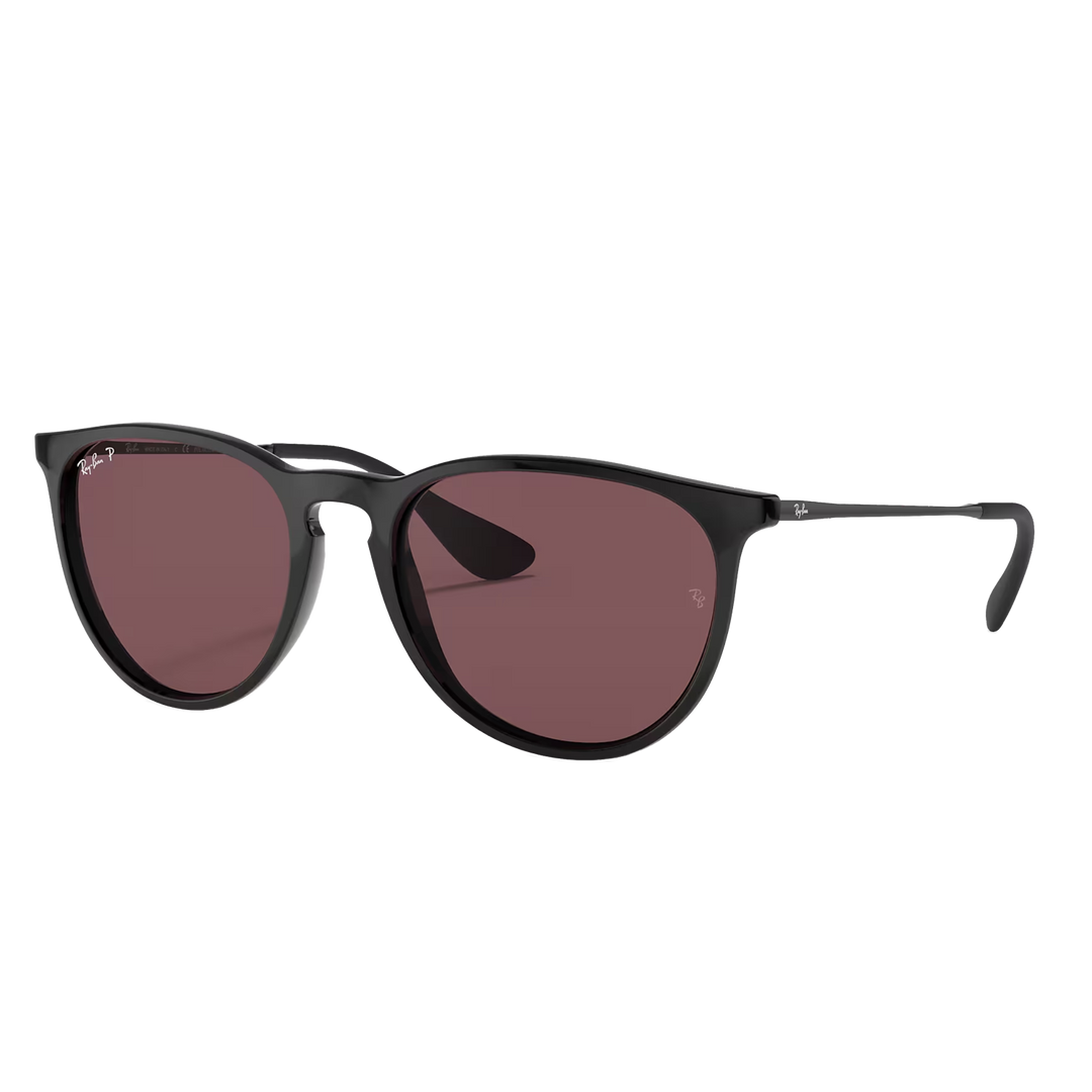 Ray-Ban RB4171 Erika Sunglasses