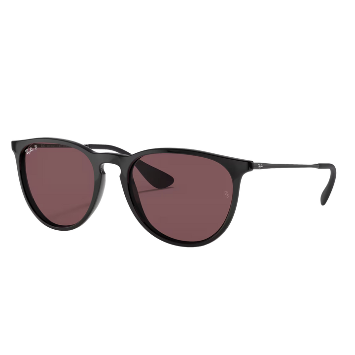 Ray-Ban RB4171 Erika Sunglasses