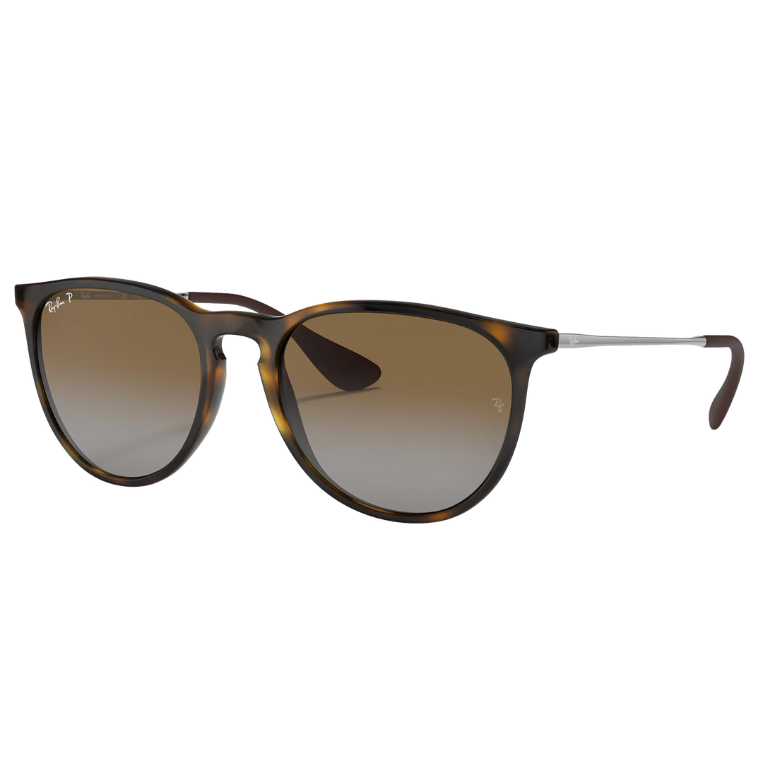Ray-Ban RB4171 Erika Sunglasses