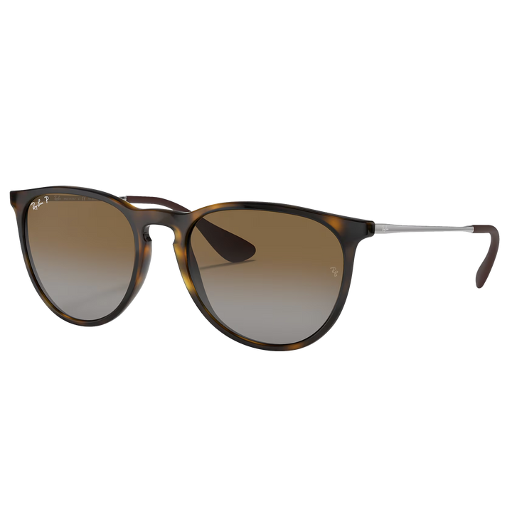 Ray-Ban RB4171 Erika Sunglasses