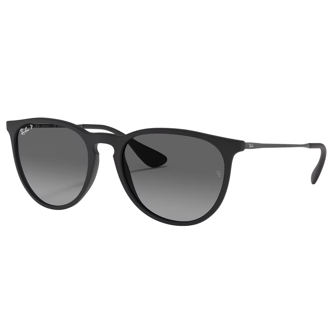 Ray-Ban RB4171 Erika Sunglasses