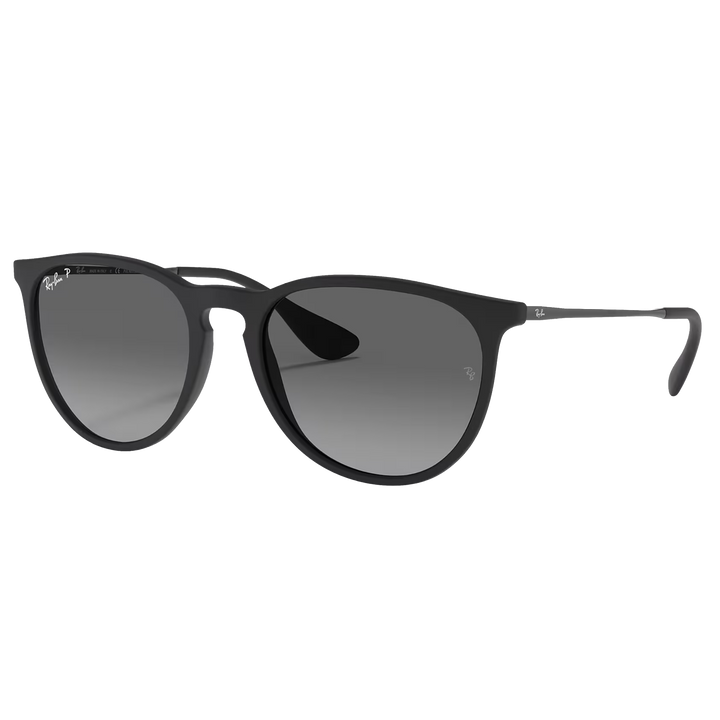 Ray-Ban RB4171 Erika Sunglasses