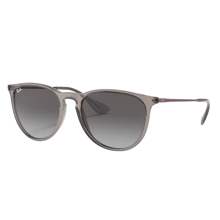 Ray-Ban RB4171 Erika Sunglasses