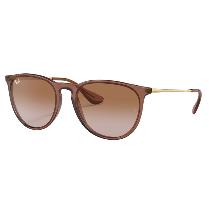 Ray-Ban RB4171 Erika Sunglasses
