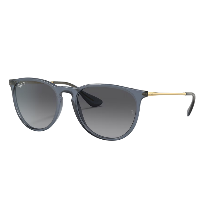 Ray-Ban RB4171 Erika Sunglasses
