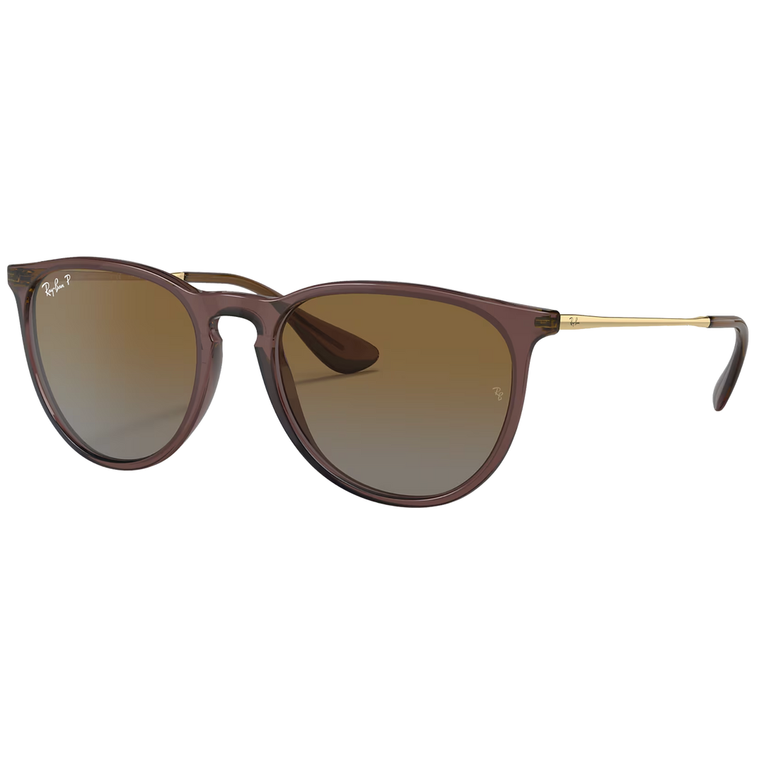 Ray-Ban RB4171 Erika Sunglasses