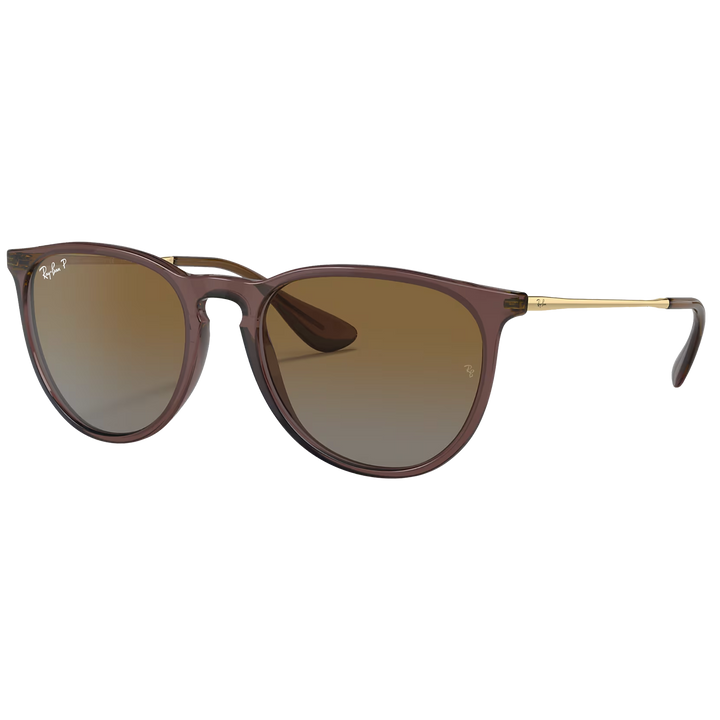 Ray-Ban RB4171 Erika Sunglasses