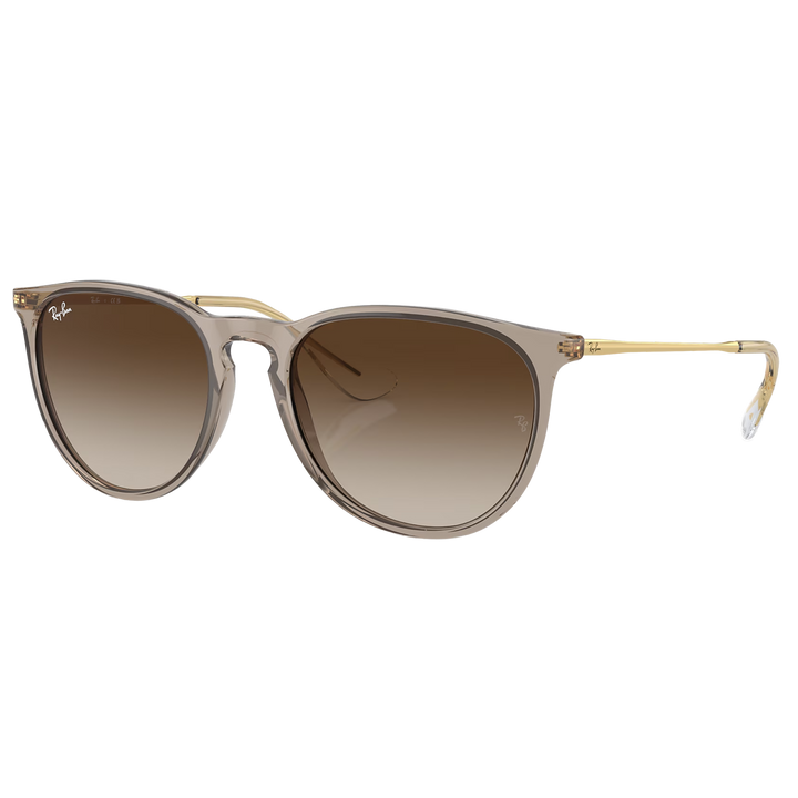 Ray-Ban RB4171 Erika Sunglasses
