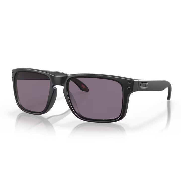 Oakley Holbrook OO9102 Sunglasses