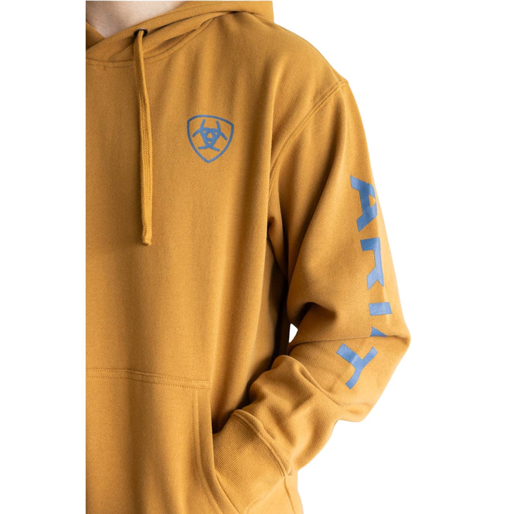Ariat Men's Logo Hoodie
