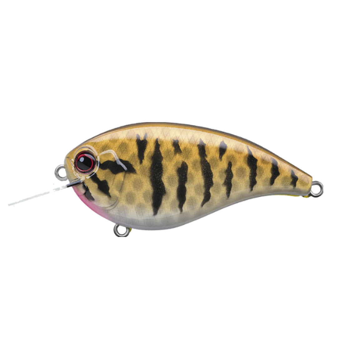Evergreen Baits FF-4 Crank Baits