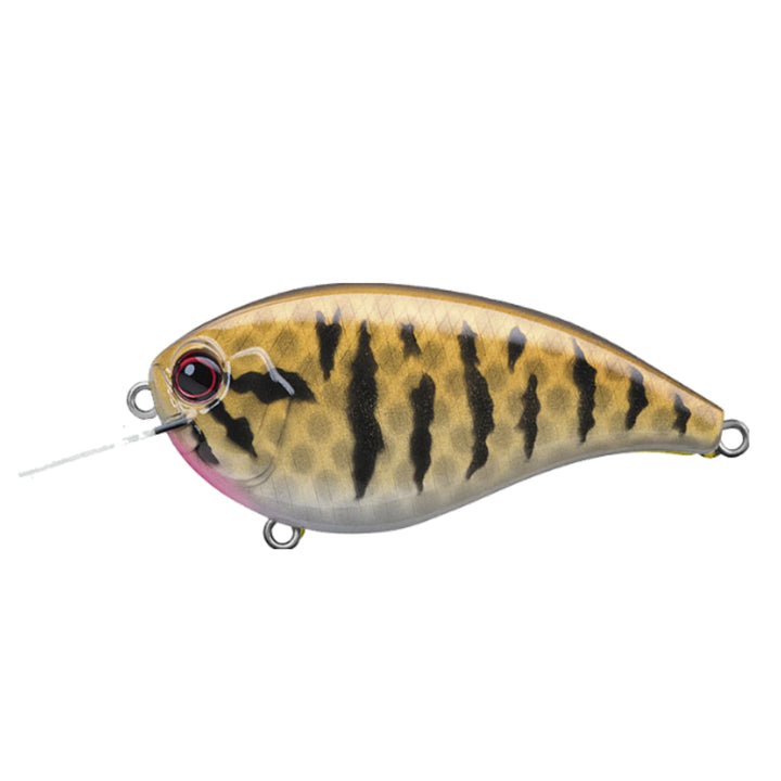 Evergreen Baits FF-4 Crank Baits