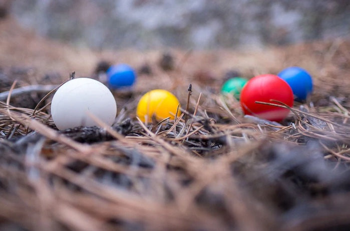 GSI Outdoors - Outside Inside - Backpack Bocce Ball Set