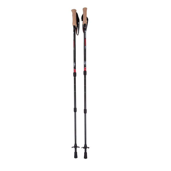 Mountainsmith Andesite Neo Trekking Pole Pair