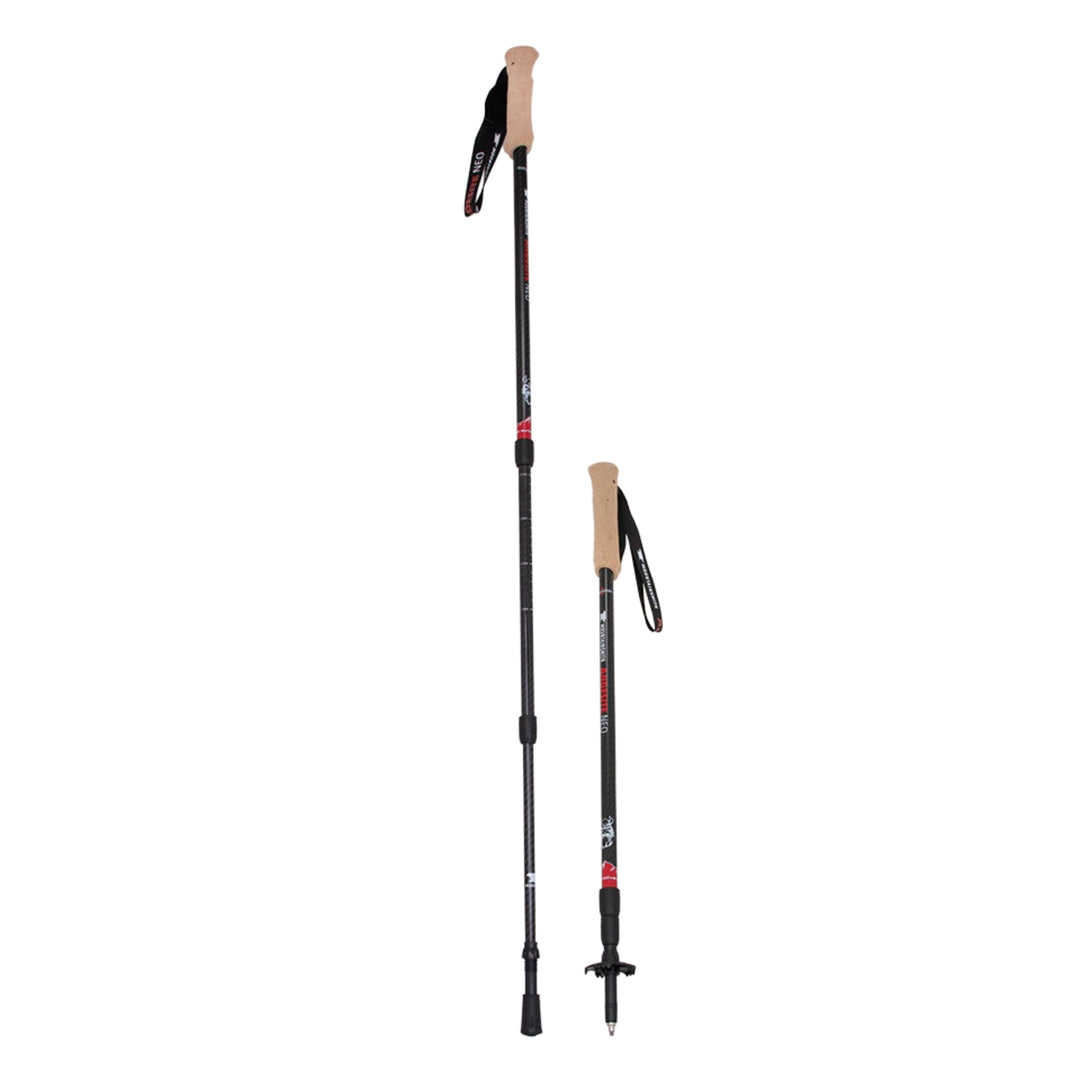 Mountainsmith Andesite Neo Trekking Pole Pair