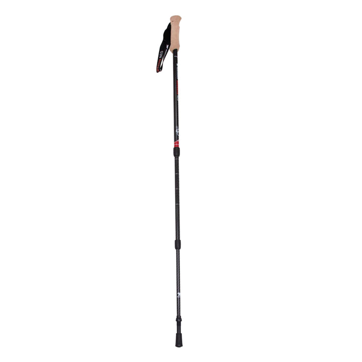 Mountainsmith Andesite Neo Trekking Pole Pair