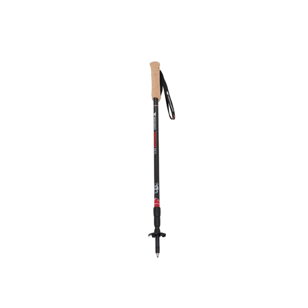 Mountainsmith Andesite Neo Trekking Pole Pair