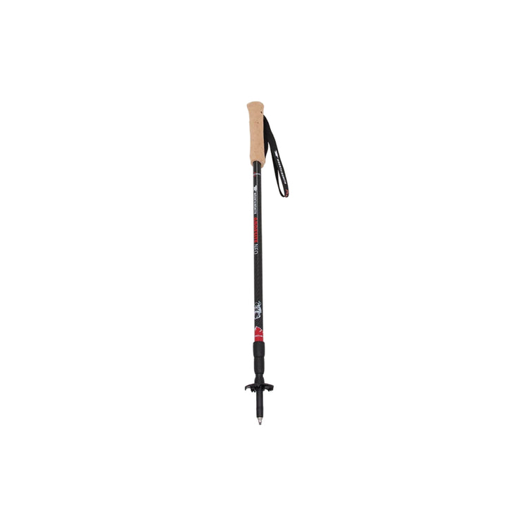 Mountainsmith Andesite Neo Trekking Pole Pair