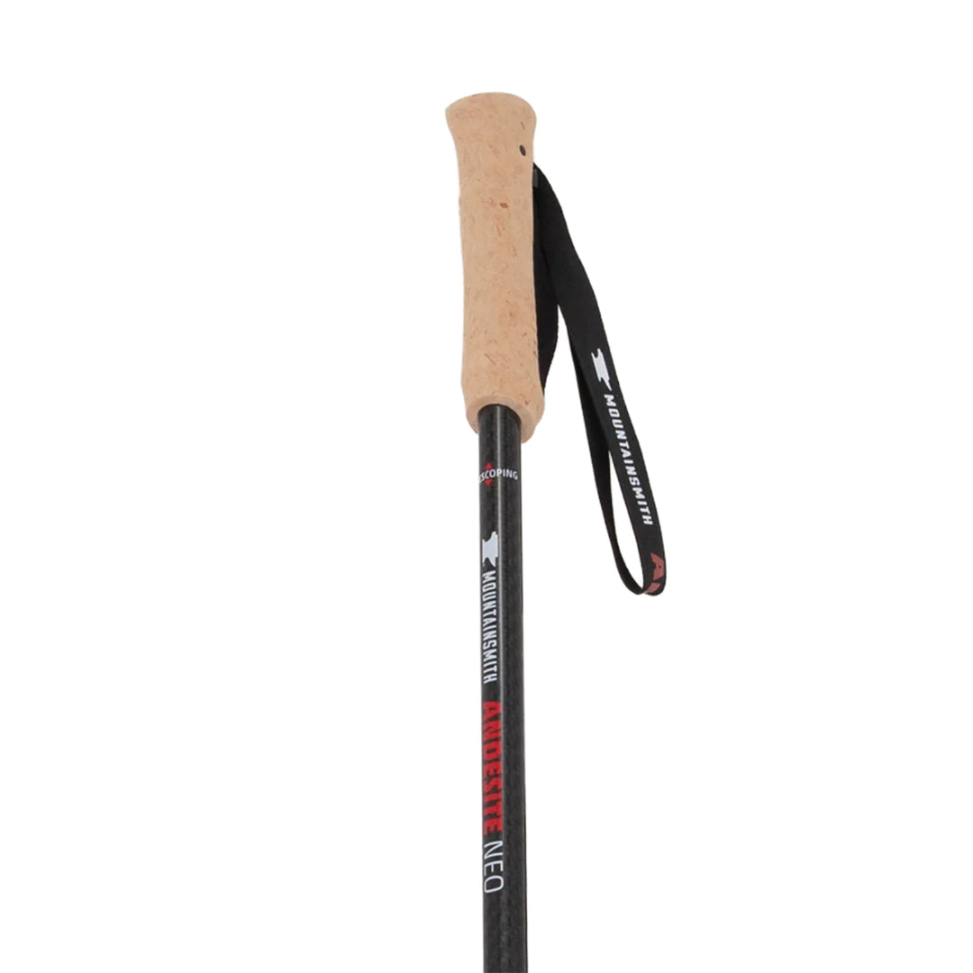 Mountainsmith Andesite Neo Trekking Pole Pair