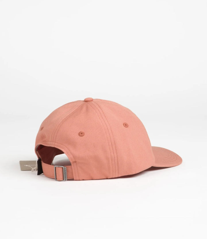 Patagonia P-6 Label Trad Cap