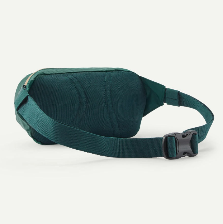 Patagonia Terravia Mini Hip Pack 1L
