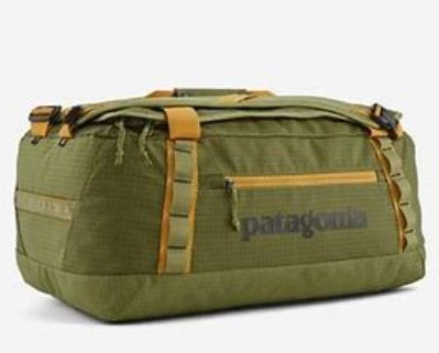 Patagonia Black Hole Duffel 40L