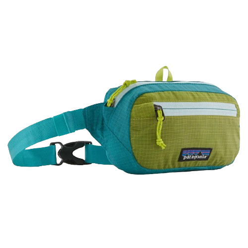 Patagonia Ultralight Black Hole Mini Hip Pack 1L