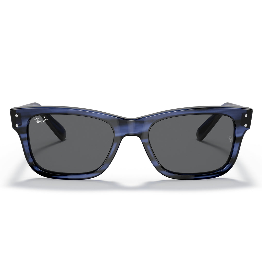 Ray-Ban Burbank Polished Blue | Dark Grey | RB2283 1339/B1