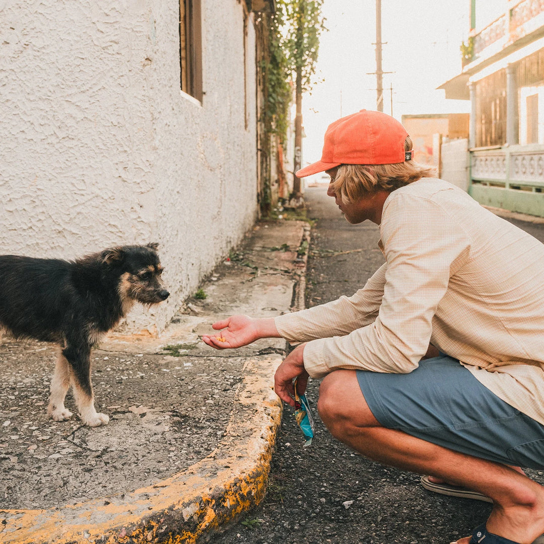 Howler Bros H Bar B Tech Longsleeve Snapshirt | Men's