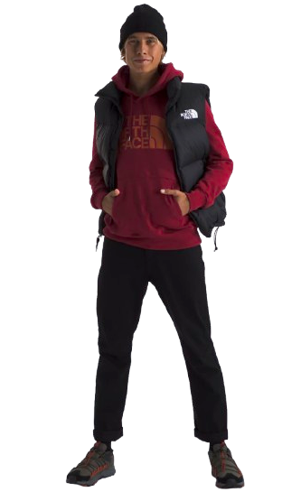 The North Face Men's Half Dome Pullover Hoodie