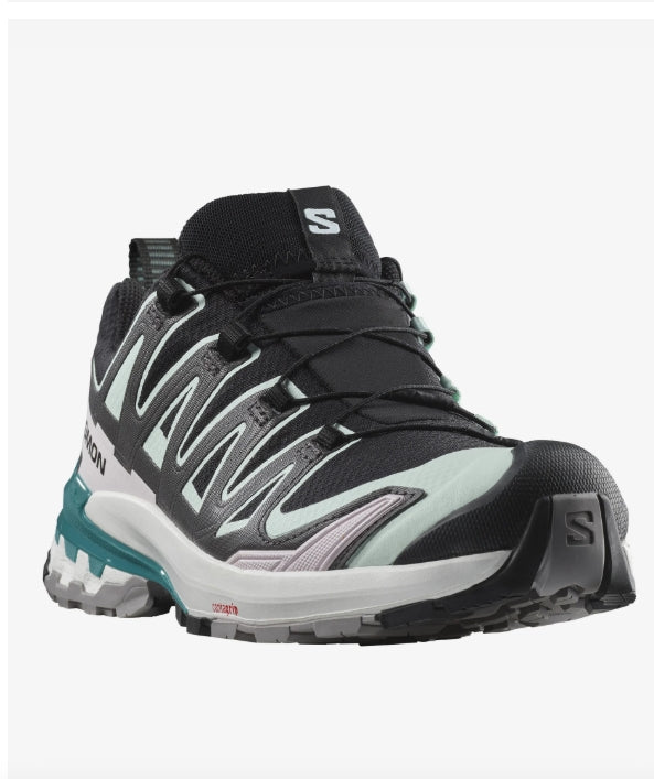 Salomon Women's XA Pro 3D V9 GTX Running Shoe