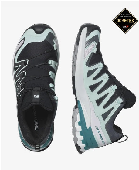 Salomon Women's XA Pro 3D V9 GTX Running Shoe