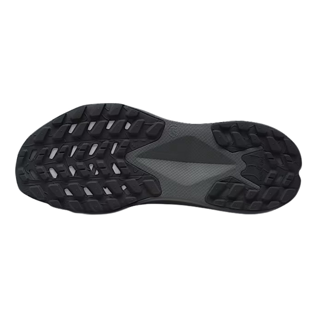 The North Face Men's Altamesa 300 Trail Running Shoe