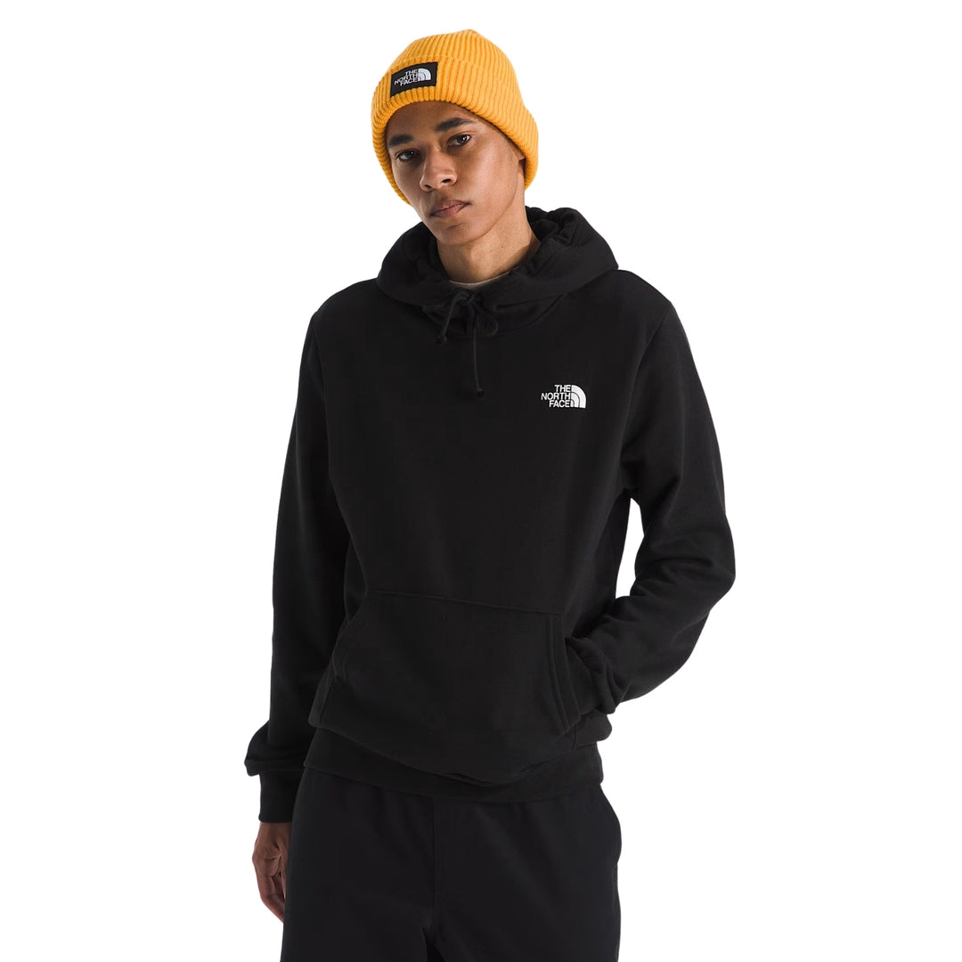 The North Face Men's Evolution Box NSE Regular Hoodie