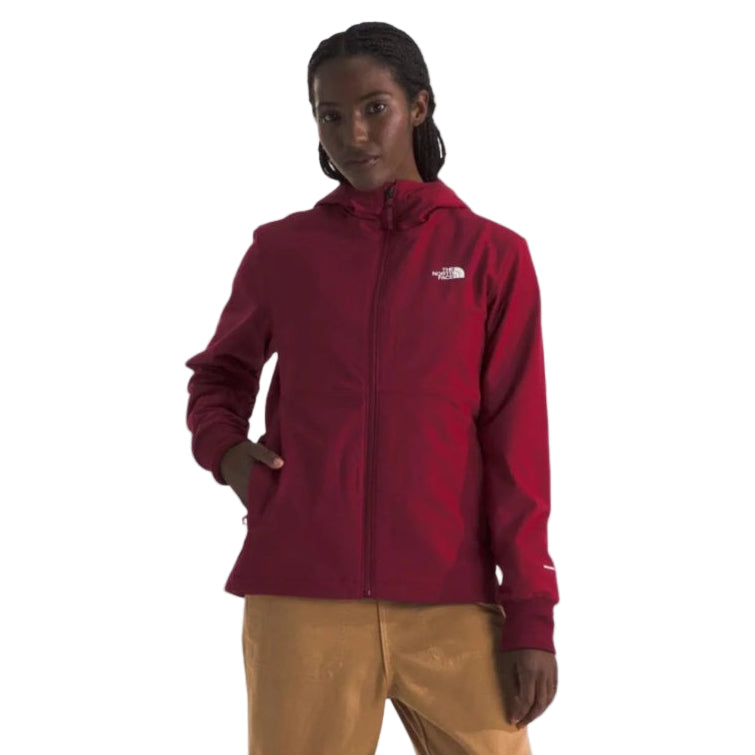 the north face shelbe raschel hoodie